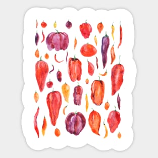 colorful chili pepper arts Sticker